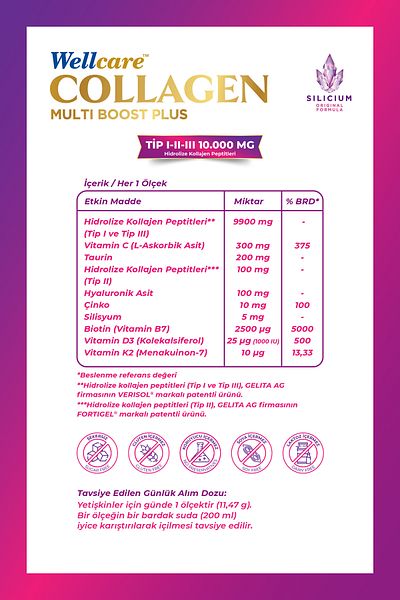 Wellcare كولاجين مالتى بوست بلس تيب I-II-III بنكهة الرمان / 10.000 ملغ على شكل مسحوق