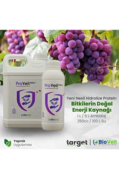 Target Proveil Yeni Nesil Enerji Kaynağı