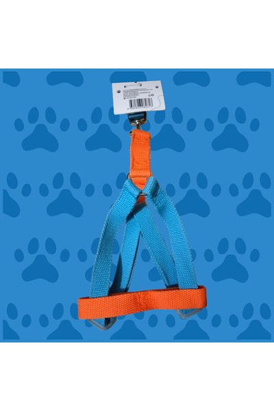 Froggo Dog Body