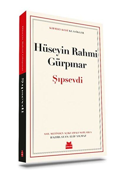 Kırmızı Kedi Çocuk Şıpsevdi