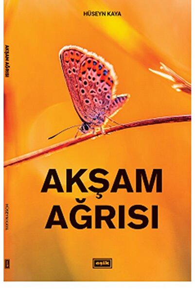 Timaş Yayınları Akşam Ağrısı