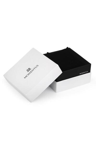 Momentus Tm250S-11Ss Men Wrist Watch