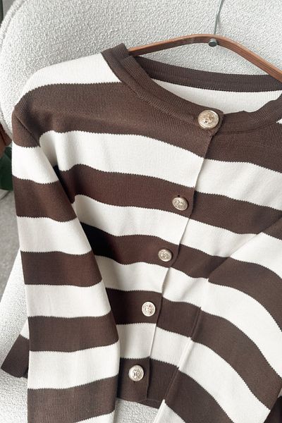 Poliyance Nare Brown Striped Cardigan