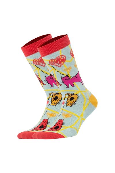 Biggdesign Cats Women's Socks Set