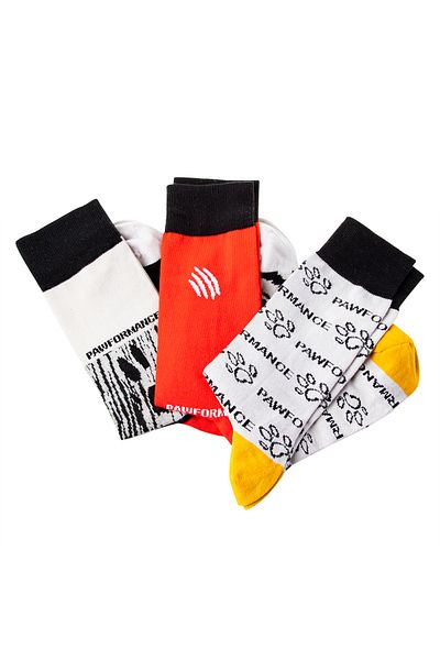 Biggdesign Dogs Pawformance Men's Socks Set