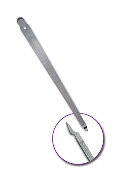 Trina Tırnak Törpüsü - 26