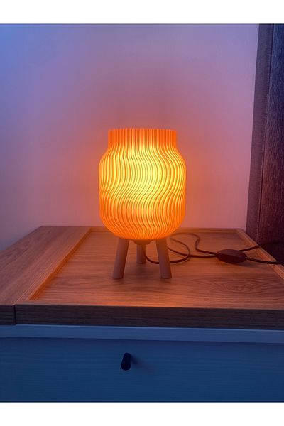 Aslan Plug and Play Avant-Garde Lampshade. Full Team