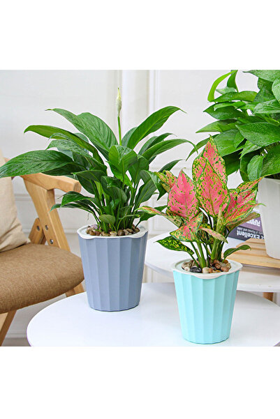 Generic Planting auto watering TE03 gray 0.5L