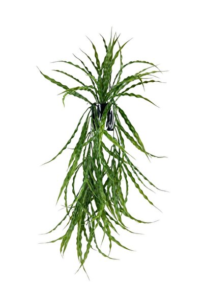 Nettenevime Yapay Çiçek Saksıda Sarkan Yeşil Kıvrımlı Saz 60cm