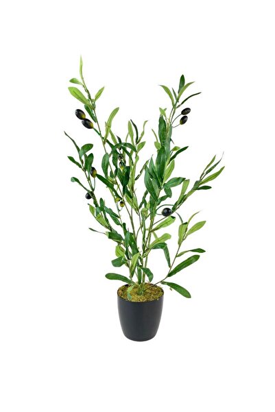 Nettenevime Yapay Çiçek Siyah Saksıda Zeytin Dalı 60cm