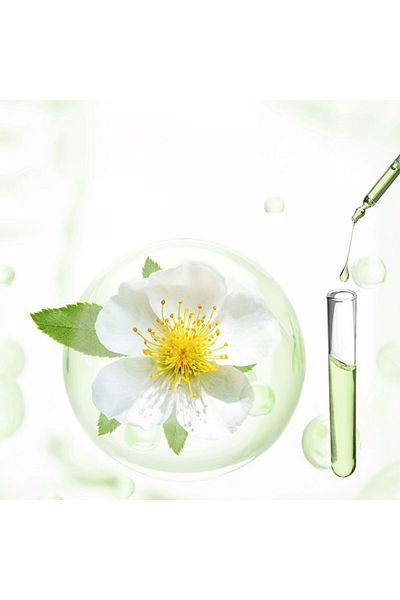 Generic Planting natural insect repellent spray for indoor plants j-1530