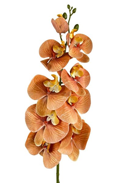 Nettenevime Yapay Çiçek Somon Rengi Islak Orkide Uzun Dal 90 cm Orkide