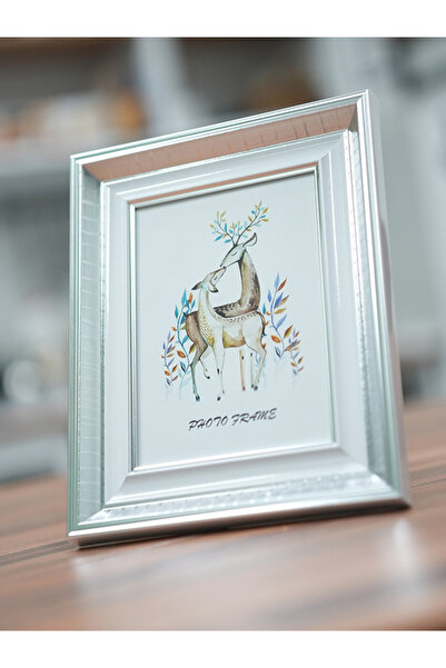 BSP GÜMÜŞ RENK 10X15 CM RESİM ÇERÇEVESİ (CAMLI)