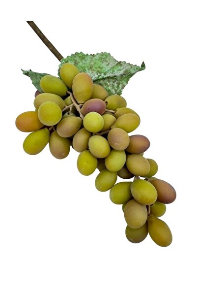 Nettenevime Yapay Meyve Üzüm Pastel Yeşil Büyük Boy Süs Dekoratif Meyve