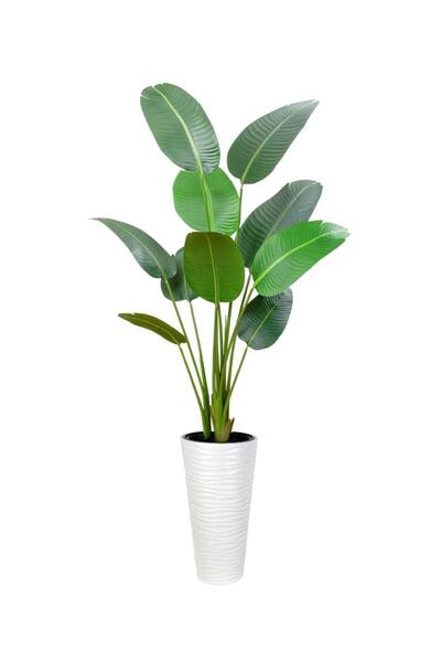 Nettenevime Yapay Ağacı Beyaz 57cm Uzun Kumsal Vazoda Muz Ağacı Yapay Starliçe 195cm 10 Yaprak