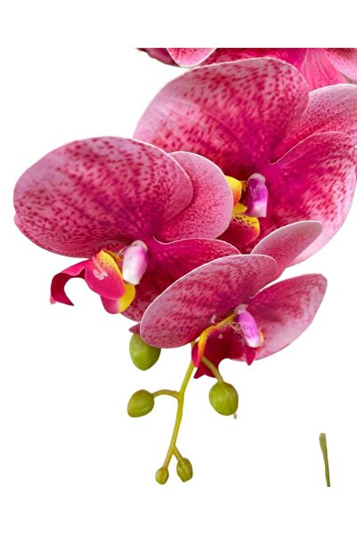 Nettenevime Yapay Çiçek Pembe Koyu Islak Orkide Gerçeksi Doku Uzun Dal 90 Cm