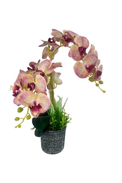 Nettenevime Yapay Çiçek 2li Pembe Damarlı Islak Orkide Seramik Saksıda Orkide 60cm