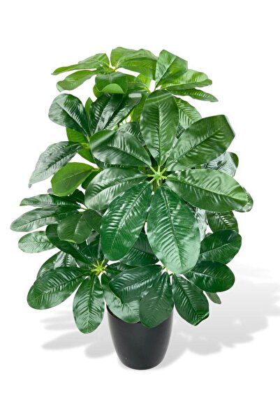 Nettenevime Yapay Çiçek Saksıda Şeflera Bitkisi 18dal 75cm Salon Çiçeği Yapay Bitki Pachira Macrocarpa