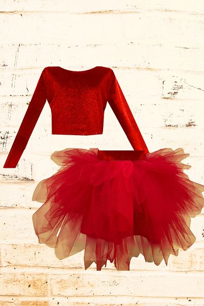 Shecco Babba Long Sleeve Velvet Top and Tutu Skirt Kids Set - 1-10 Years - Red