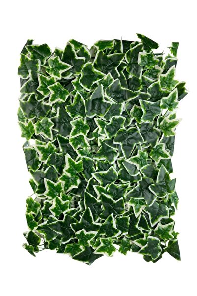 Nettenevime Yapay Çiçek Duvar Kaplama Panel Sarmaşık Hedera Tabaka 45x60 Cm Yeşilbeyaz Dik Duvar Uygulama
