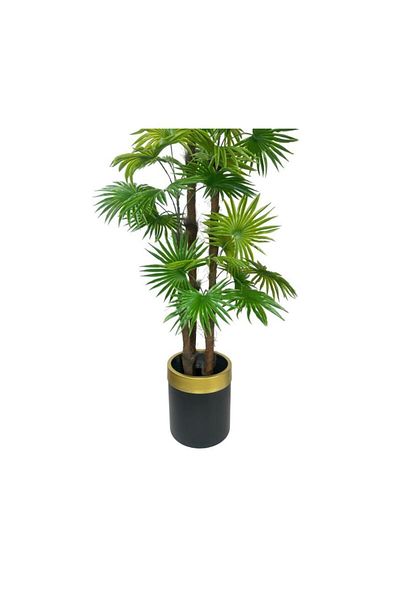 Nettenevime Τεχνητό δέντρο Fan Palm 4 Layer Fanpalm 32 Φύλλα σε Μαύρη γλάστρα με χρυσή τόξο 170*65cm