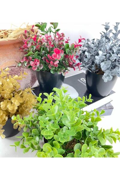 Nettenevime Yapay Çiçek Yeşil Renk Şimşir Siyah Saksıda Siyah Plastik Saksılı Dekoratif Süs Çiçeği