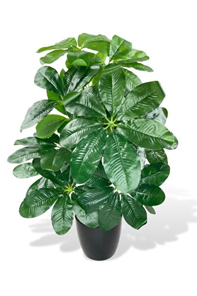 Nettenevime Yapay Çiçek Saksıda Şeflera Bitkisi 18Dal 75cm Salon Çiçeği Yapay...