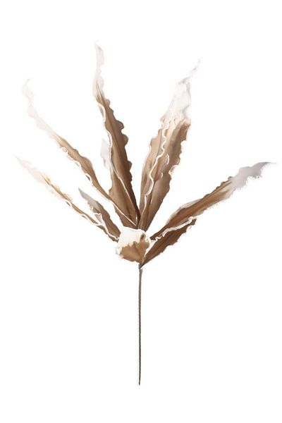 Nettenevime Τεχνητό λουλούδι Latex Flower Foam Flower Sansevieria Brown