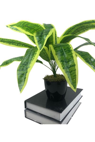 Nettenevime Τεχνητό λουλούδι Masengena Sansevieria 12 κλαδιά 40*50cm Σαλόνι Λουλούδι Πλαστικό Μαύρο Τεχνητό Φυτό σε γλάστρα