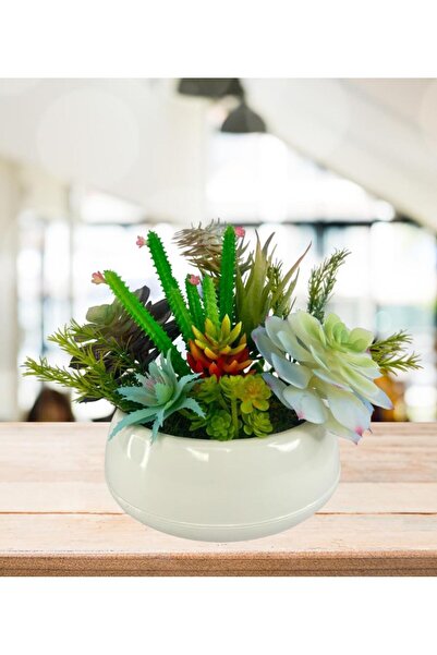 Nettenevime Yapay Çiçek Kaktüs Sukulent Aranjmanı Krem Renk Plastik Saksıda 10 adet Karışık Model Skulent
