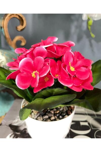 Nettenevime Yapay Çiçek Beyaz Saksıda Kadife Menekşe Gerçekçi Doku Çakıl Taşlı Fuşya