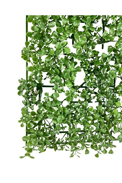 Nettenevime Yapay Çiçek Duvar Kaplama Panel Şimşir Tabaka 50*50cm Dik Duvar Uygulama