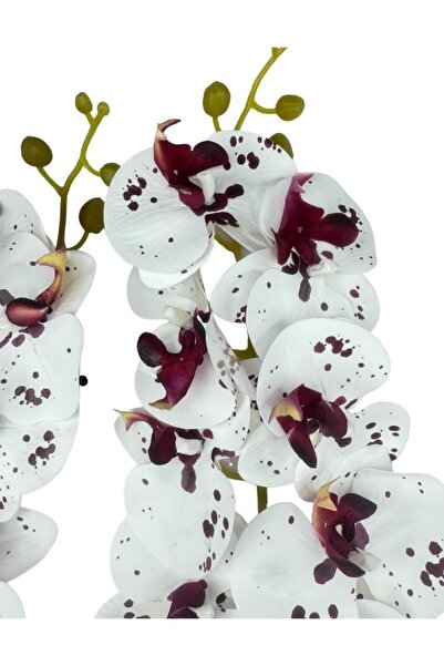 Nettenevime Yapay Çiçek Çilli Bordo Beyaz Islak Orkide Gerçeksi Doku Uzun Dal 90 cm