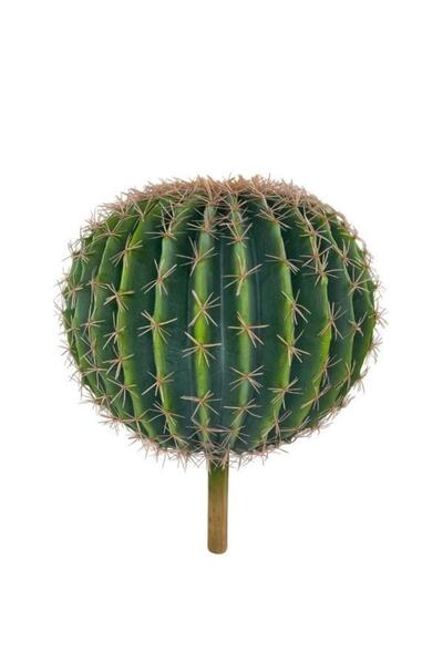 Nettenevime Yapay Çiçek Echinocactus Grusonii Altın Fıçı Kaktüs 35*35cm Cactü...