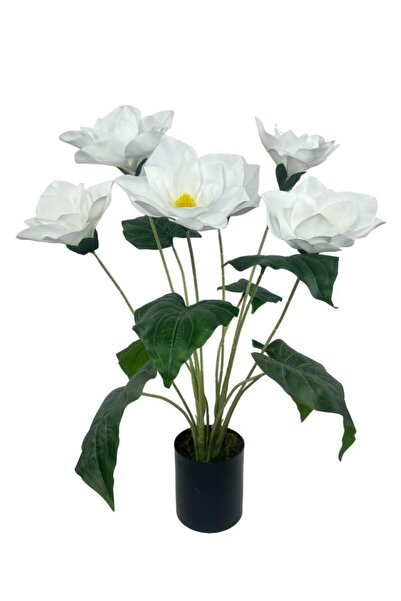 Nettenevime Yapay Çiçek Islak Manolya Çiçeği 6 Çiçekli 65cm Siyah Saksıda Salon Çiçeği