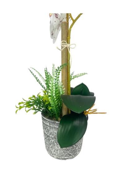 Nettenevime Yapay Çiçek 2li Benekli Bordo Islak Orkide Seramik Saksıda Orkide 60cm