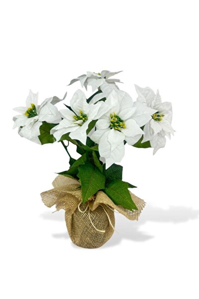 Nettenevime Yapay Çiçek Atatürk Çiçeği Keten Saksılı Yapay Bitki Salon Çiçeği BEYAZ