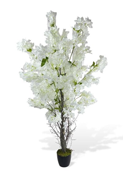 Nettenevime Yapay Ağaç Beyaz Begonvil Ağacı 150*60cm Doğal Görünümlü Yapay Ağaç