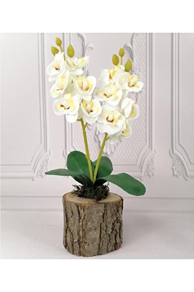 Nettenevime زهرة اصطناعية خشبية بوعاء أبيض صغير هدية زخرفية من الأوركيد الاصطناعي