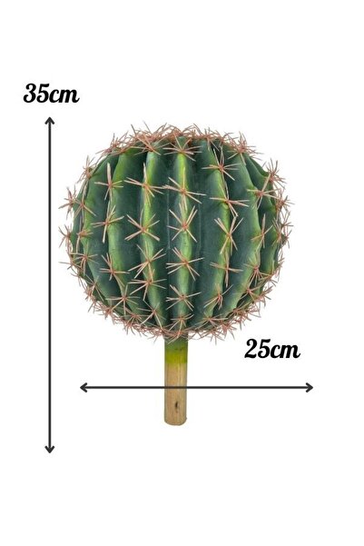 Nettenevime Yapay Çiçek Echinocactus Grusonii Altın Fıçı Kaktüs 25*25cm Cactüs Sk4010
