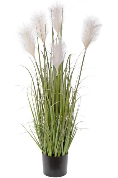 Nettenevime Yapay Çiçek Beyaz Püskül Grass Panpas Saz Siyah Aleminyum Saksıda