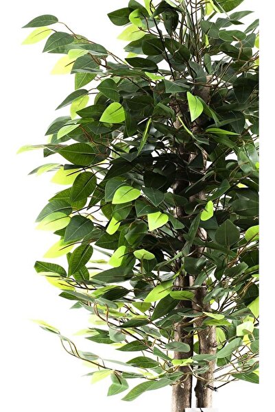 Nettenevime Yapay Ağaç Benjamin Yeşil 2 Gövdeli 110*70cm Siyah Plastik Saksılı
