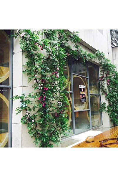 Nettenevime Yapay Çiçek 12 Adet Benjamin Yaprağı Yeşil Ağaç Yaprağı