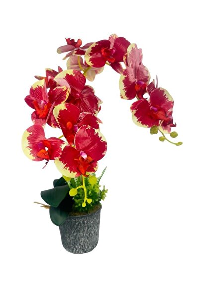 Nettenevime Yapay Çiçek 2li Kırmızı Krem Islak Orkide Seramik Saksıda Orkide 60cm