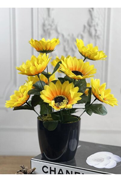Nettenevime Yapay Çiçek Ay Çiçeği Siyah Plastik Saksılı Dekoratif Süs Çiçeği