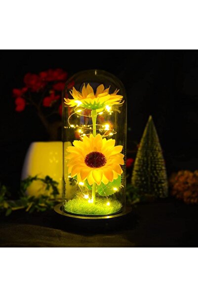 Nettenevime Faunus Içerisinde Işıklı Yapay Ay Çiçeği 2li Ve 3 Fonksiyonlu Periled Sevgiliye Hediye