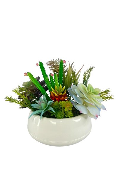 Nettenevime Yapay Çiçek Kaktüs Sukulent Aranjmanı Krem Renk Plastik Saksıda 10 adet Karışık Model Skulent