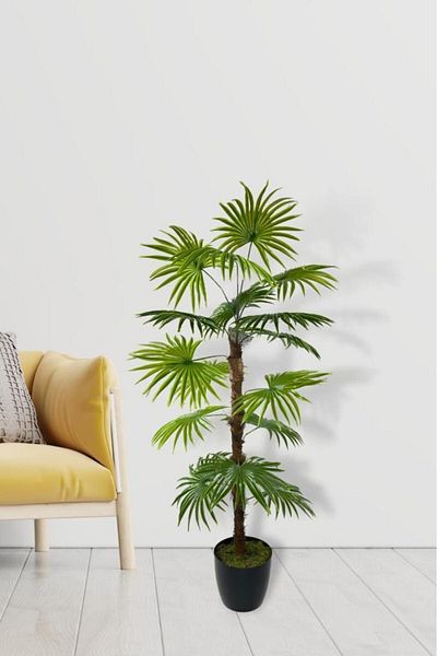 Nettenevime Τεχνητό Δέντρο Φούντα Φοίνικας Fanpalm 16 Φύλλα 115*55cm