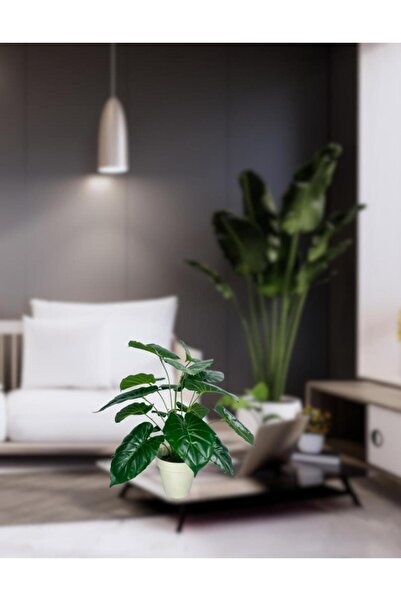 Nettenevime Yapay Çiçek Difenbahya Yeşil Salon Çiçeği 50cm Beyaz Saksılı Yapay Bitki