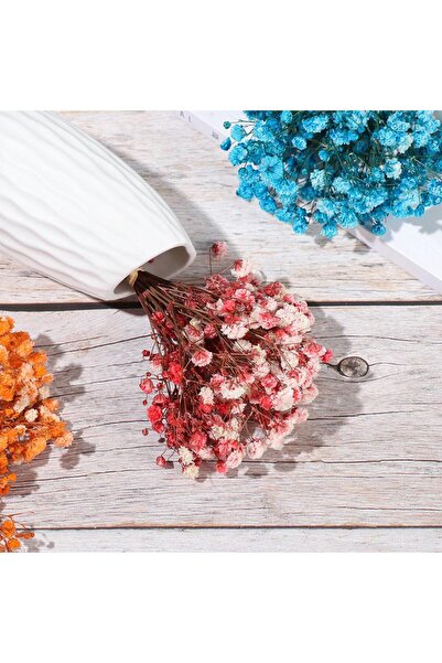 Nettenevime 10lu Set Kuru Çiçek Doğal KIRMIZI Cipso Şoklanmış Bozulmaz